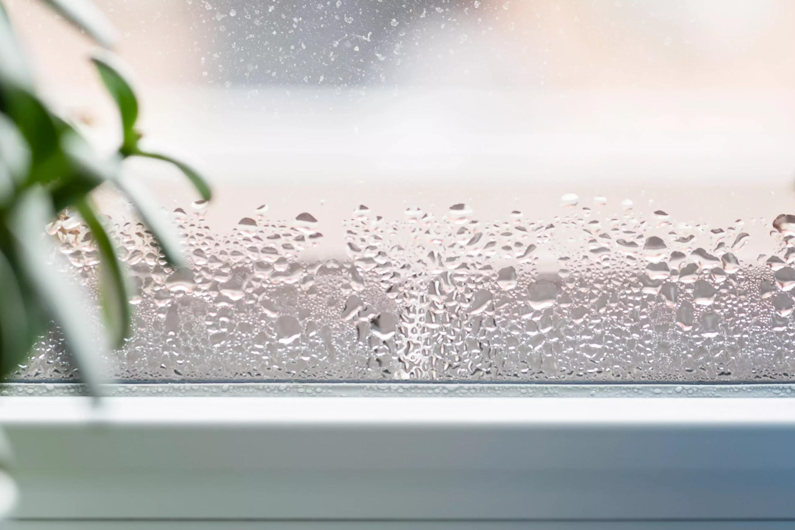 health impacts of humidity