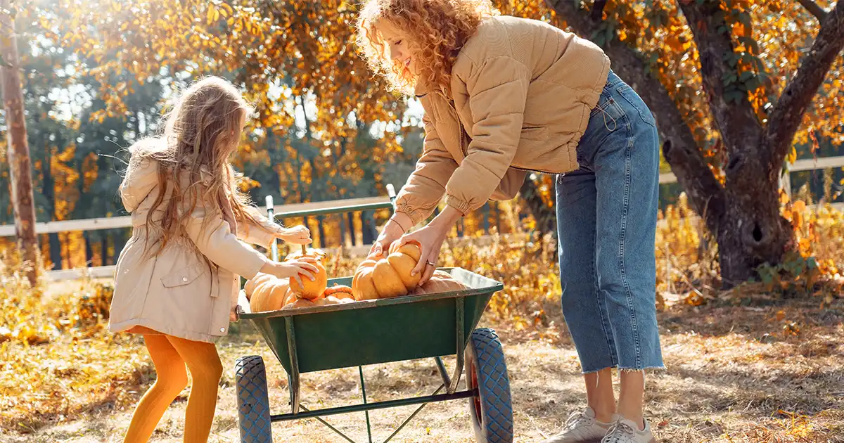fall allergy forecast